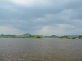 Tn PPTC 272